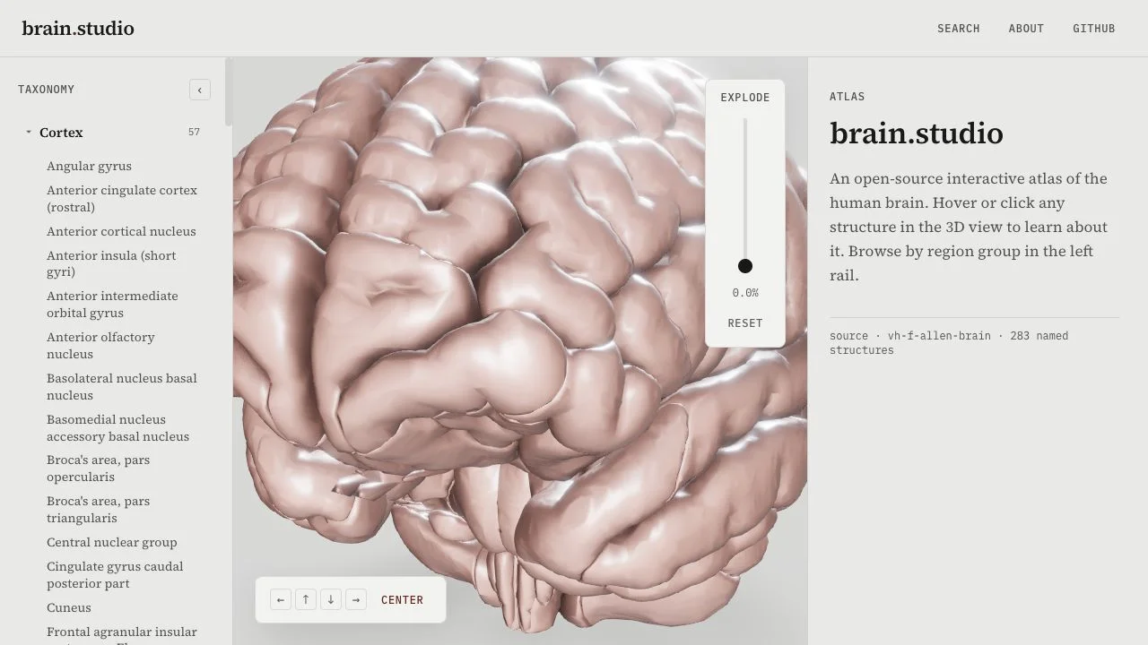 Atlas interactivo de Brain Studio con un cerebro humano tridimensional y su taxonomía anatómica
